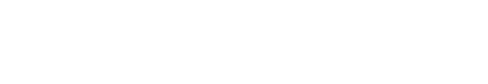 Schlei Projekt GmbH